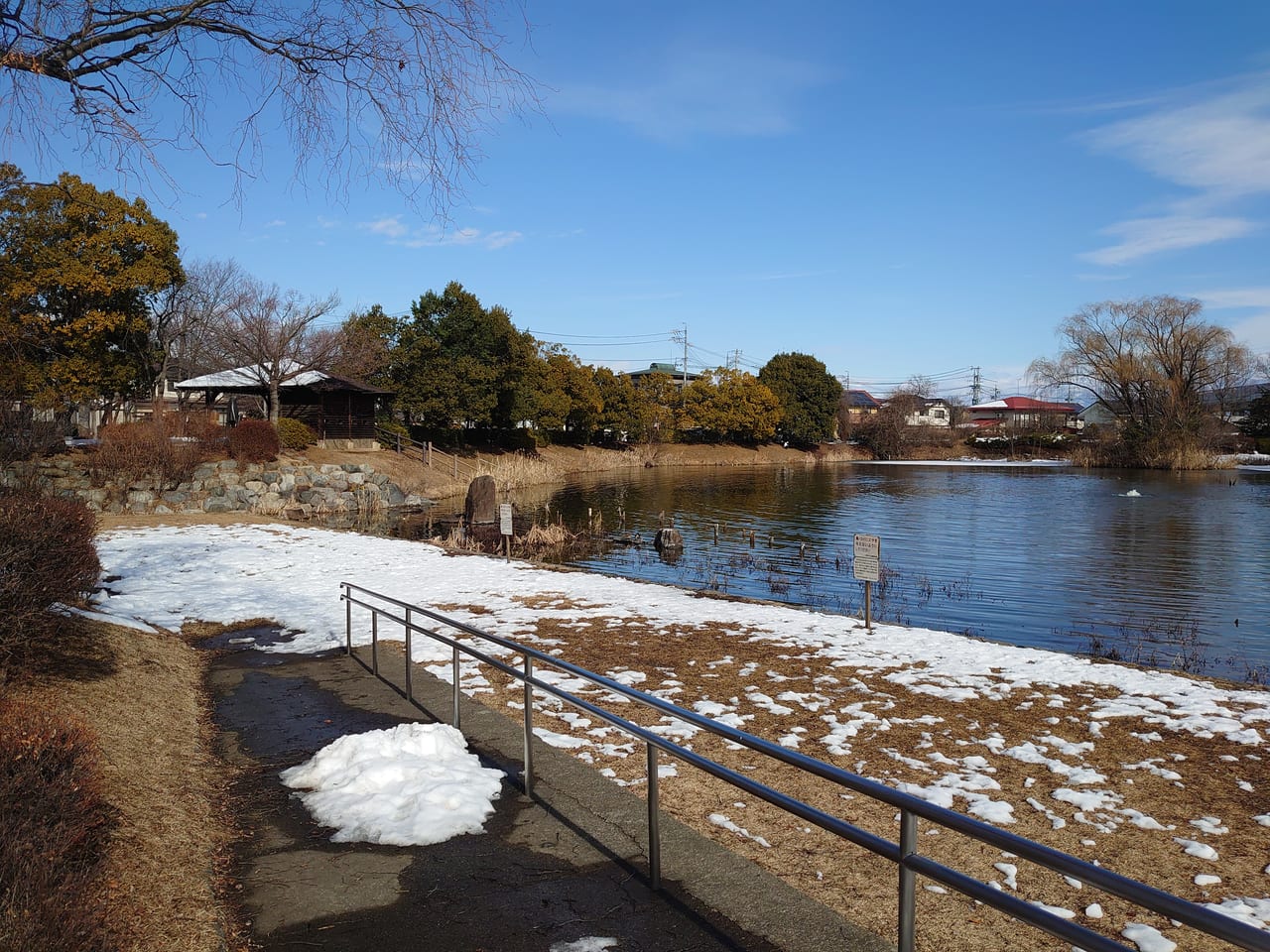 辰巳公園