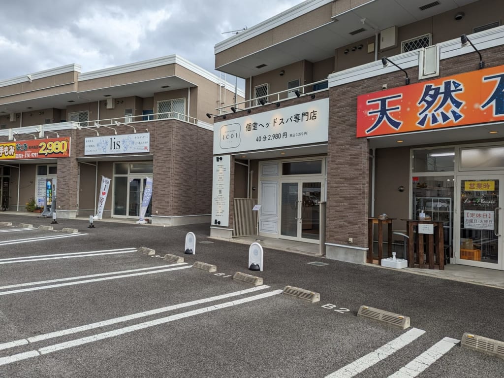 ICOI