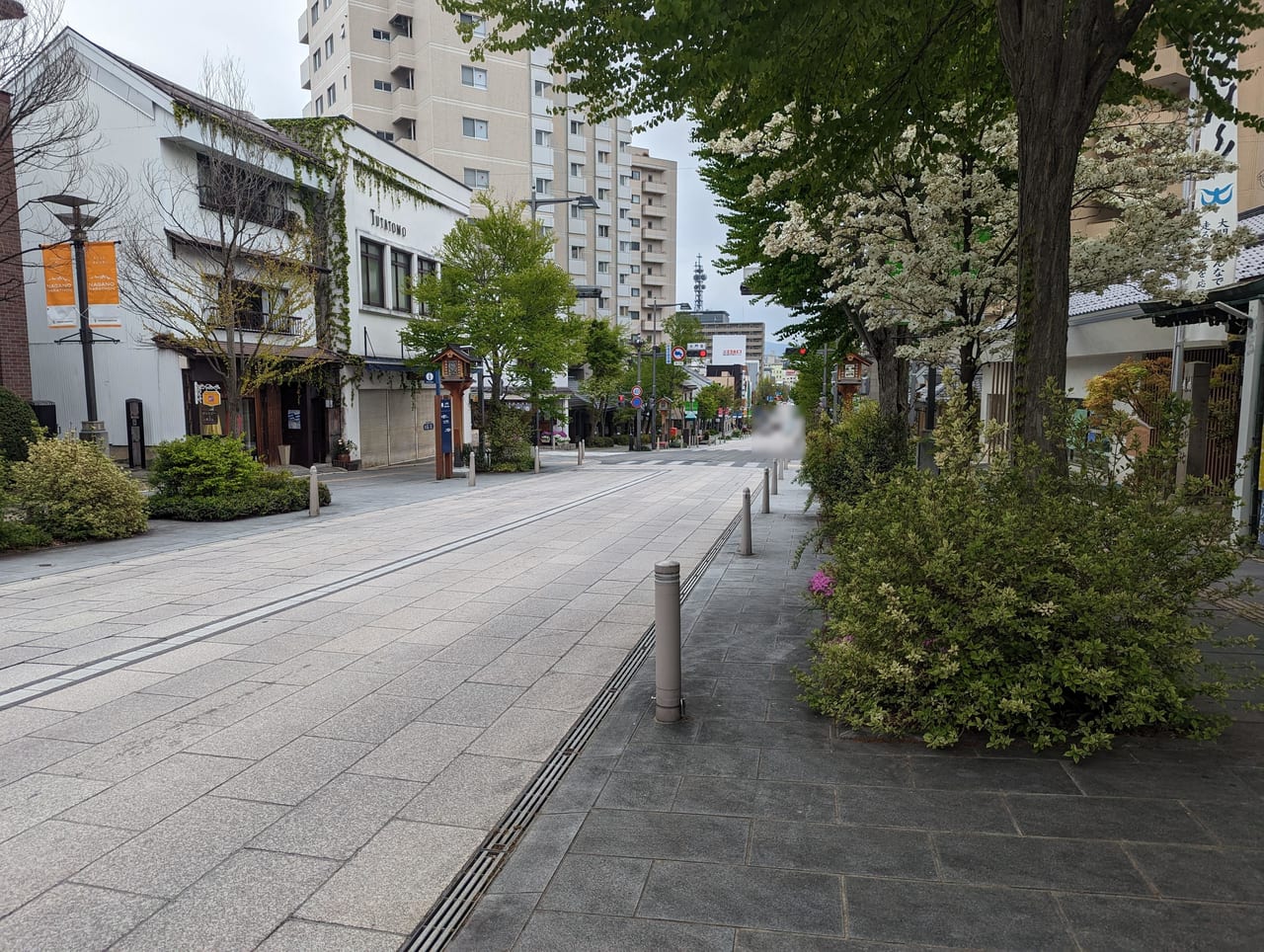 とろり天使のわらびもち善光寺通り店