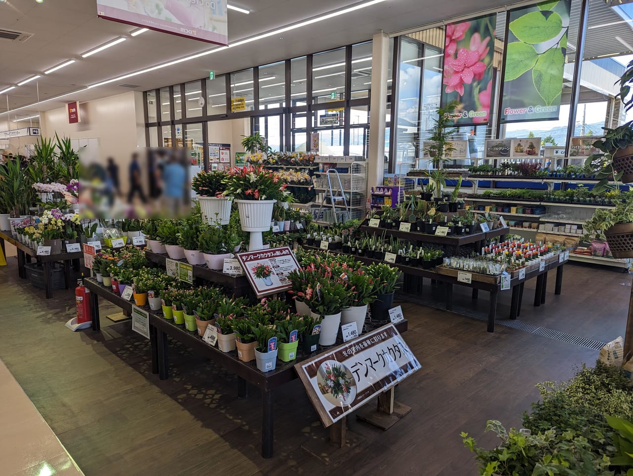 ケーヨーデイツー川中島店