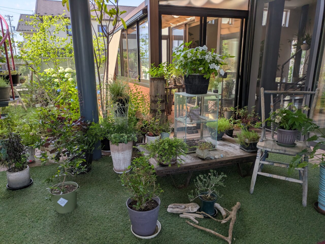 koide family studio