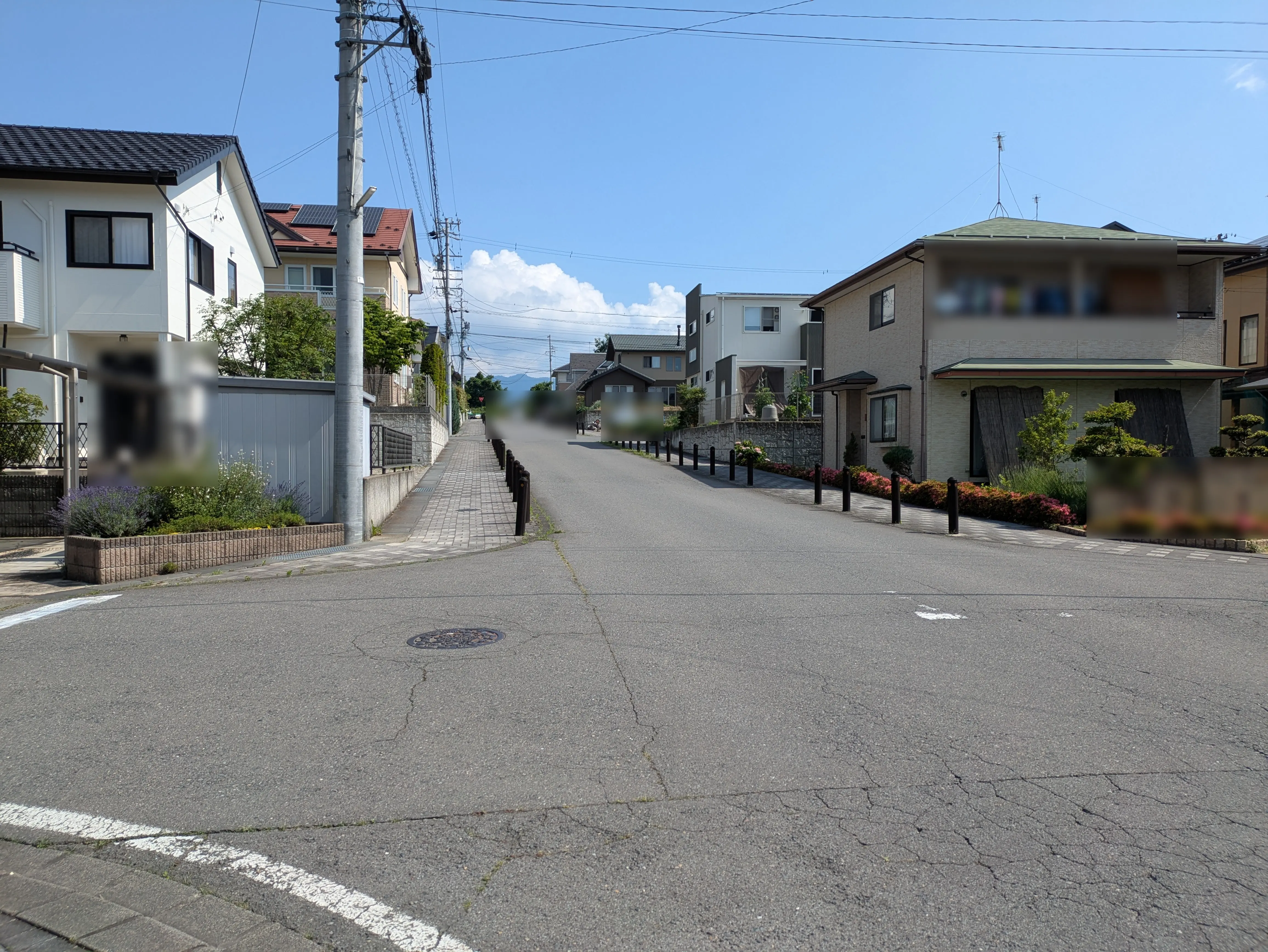 koide family studio