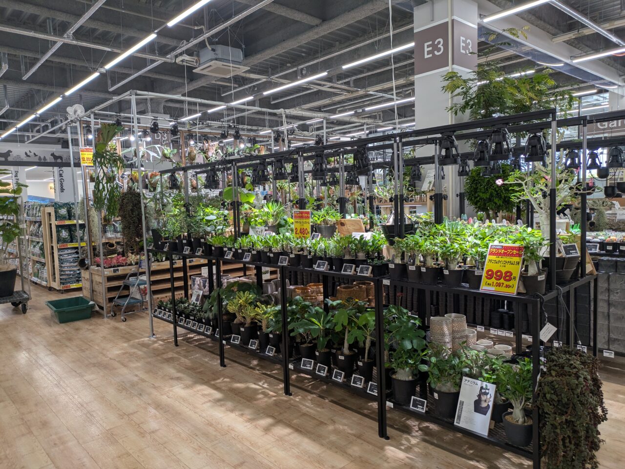 ホームセンタームサシ須坂店