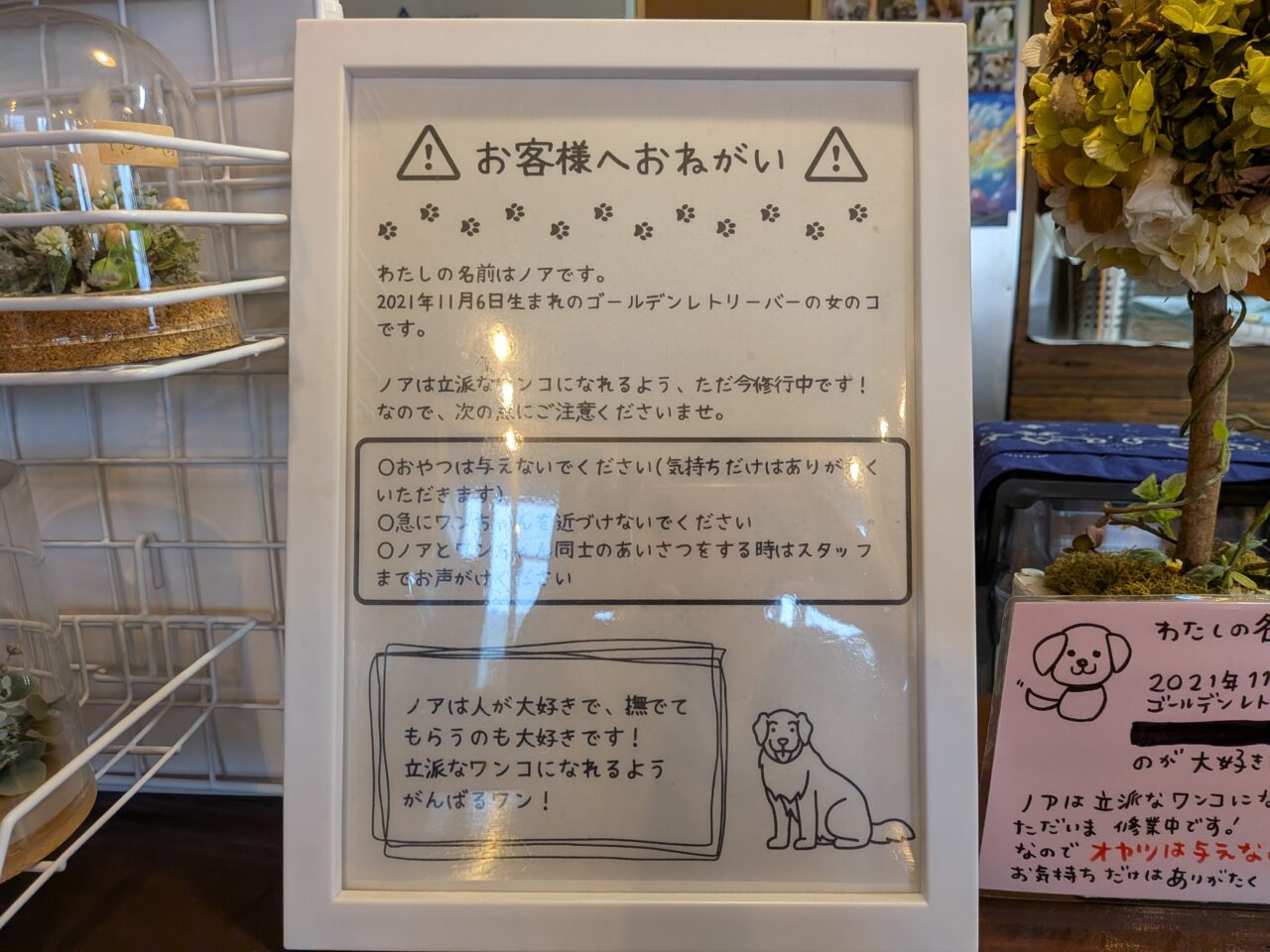 ごはんとカフェ BlueStar