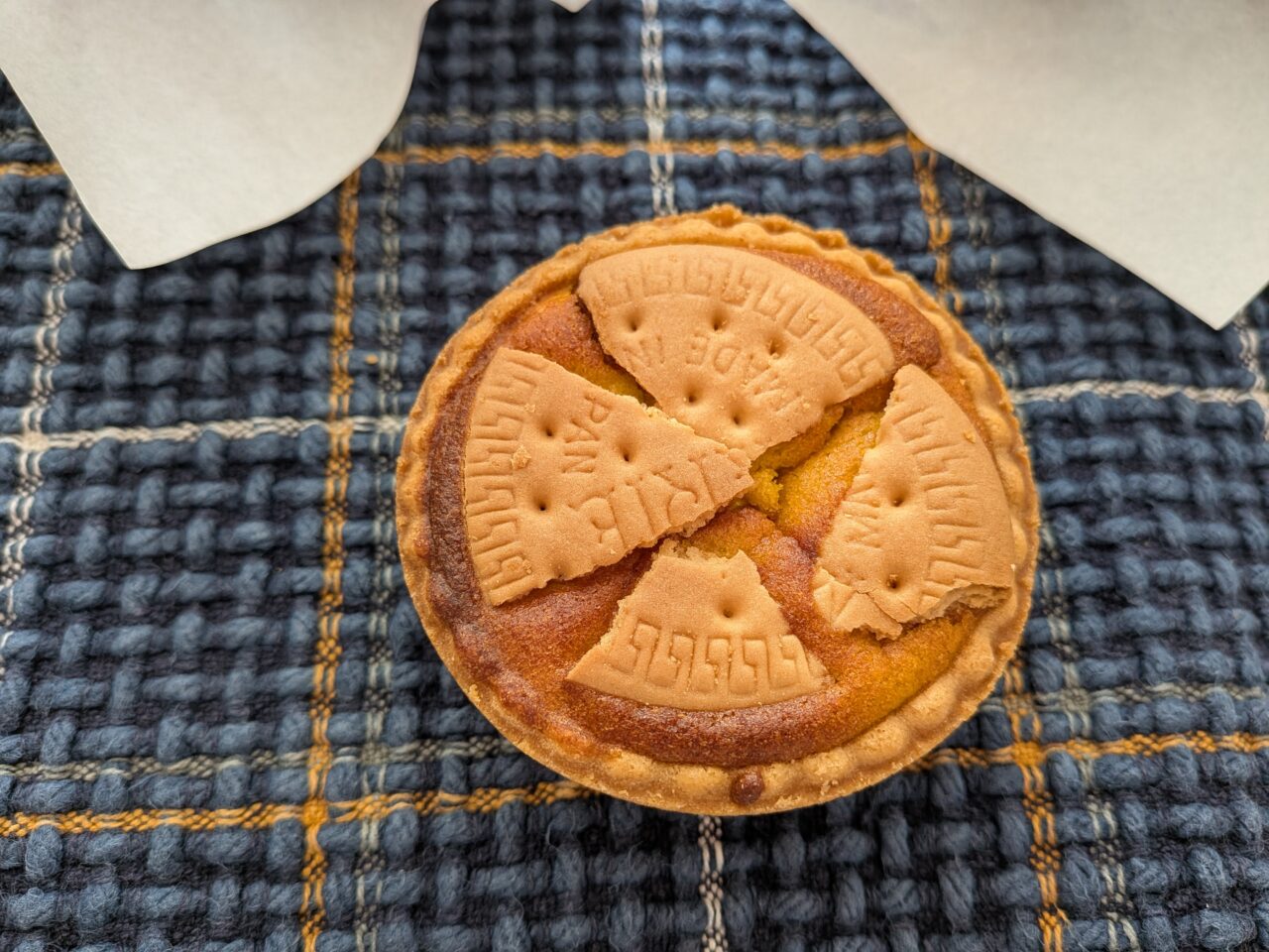 ねこのあしおと