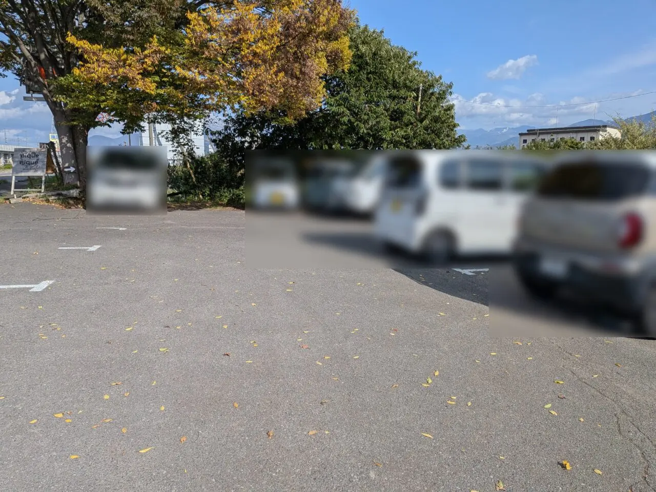 pique_nique_garden&cafe