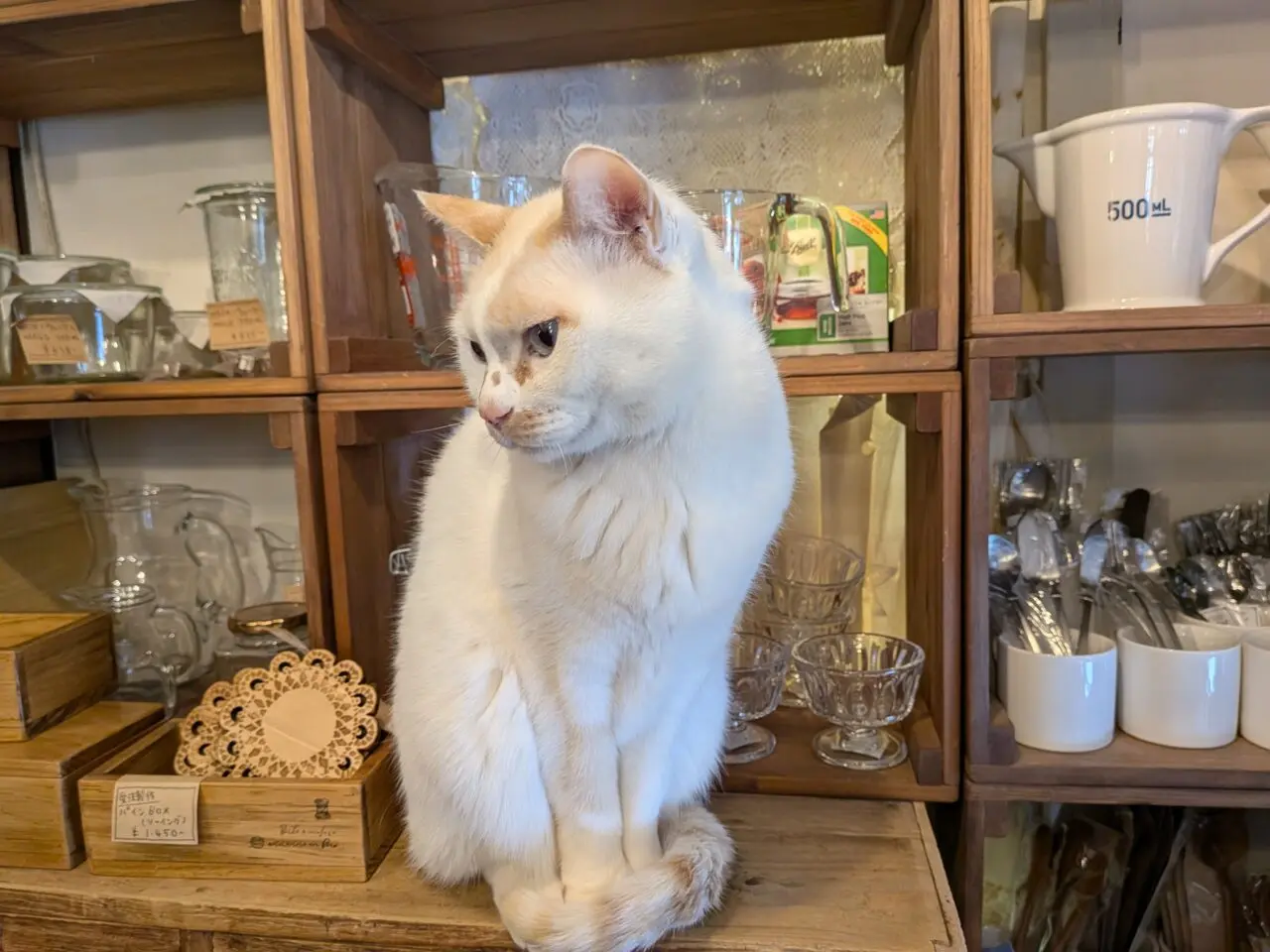 クラフトハンズギャラリー