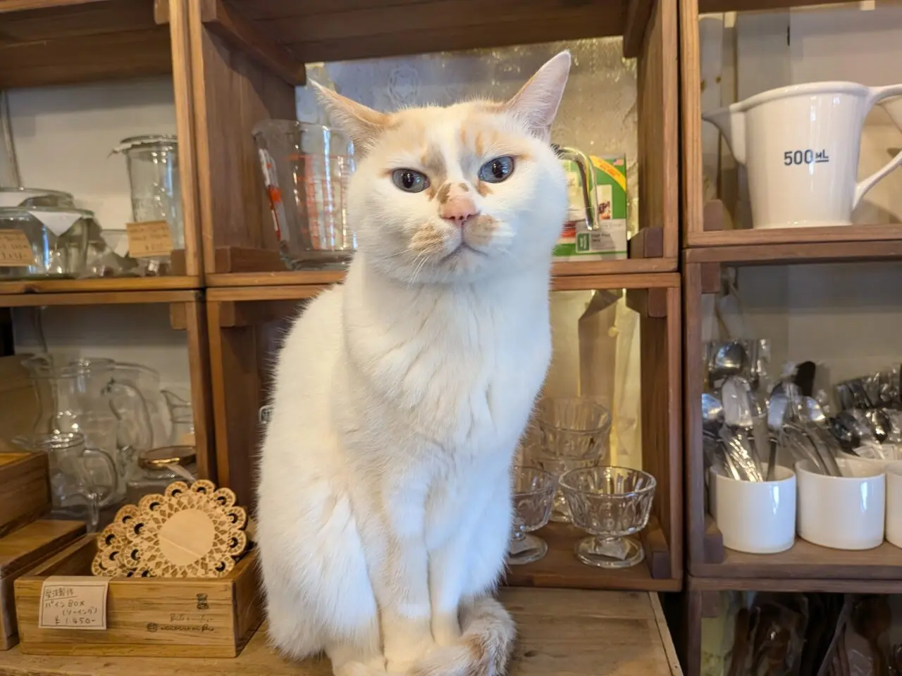 クラフトハンズギャラリー