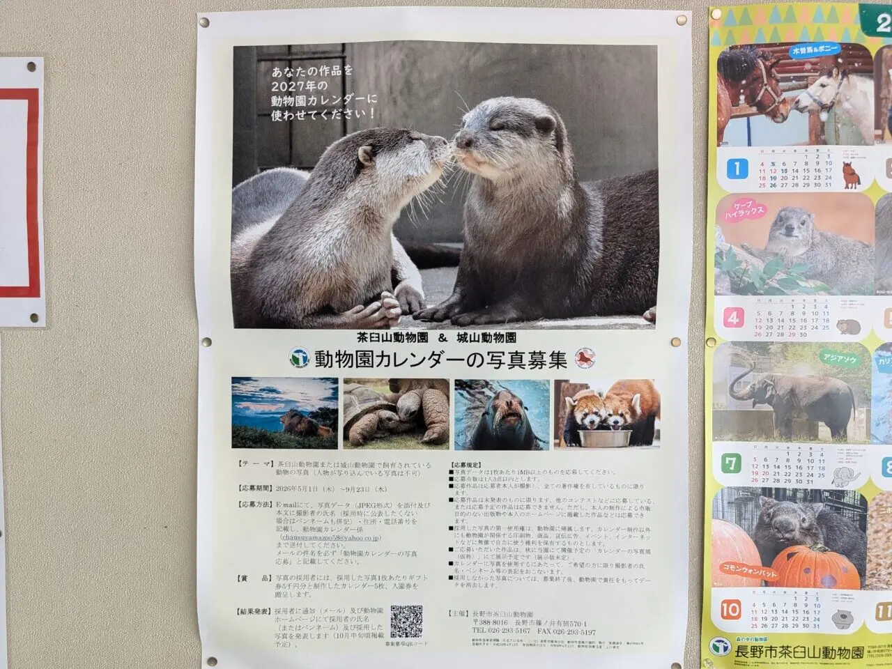 ２０２６年６月茶臼山城山動物園カレンダー写真募集１