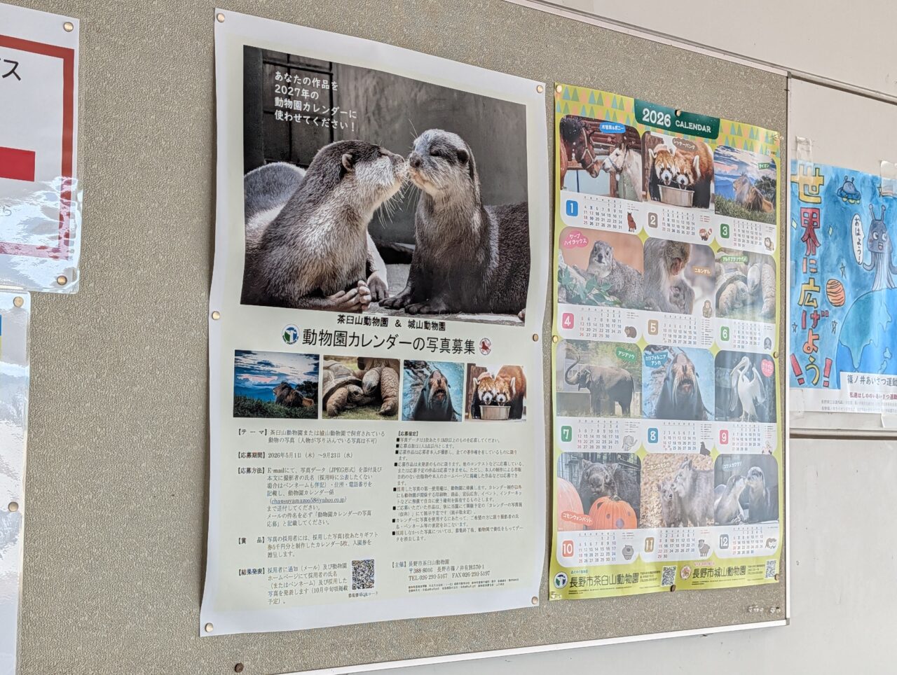 ２０２６年６月茶臼山城山動物園カレンダー写真募集２