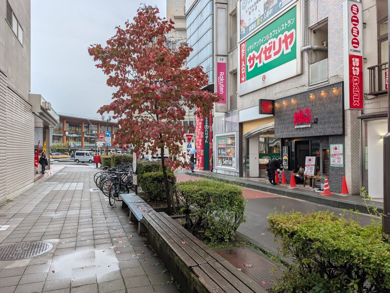 2026年10月シーワン東京油組総本店長野組開店続報1